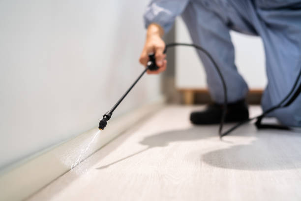 Licensed Cockroach Control service in Perry, LA - Nex Pest Control