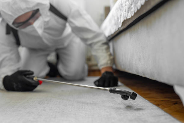 Professional Cockroach Control technician working in Perry, LA