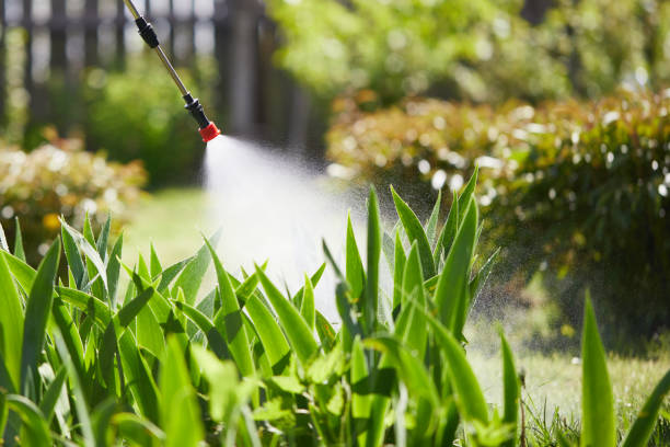 24/7 Emergency Cockroach Control experts in Perry, LA