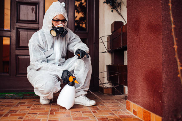 Reliable Cockroach Control contractor in Perry, LA by Nex Pest Control
