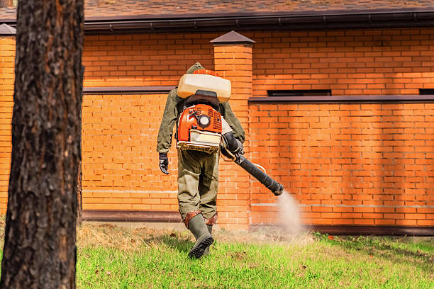 Top rated local Cockroach Control specialists in Perry, LA